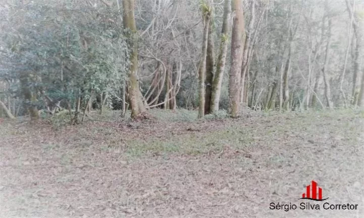 Imagem Chácara Para Venda Com 45.000,00 m², em Santo Antônio do Pinhal.