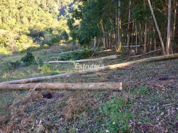 Imagem Sítio maravilhoso com 47 hectares de natureza exuberante!