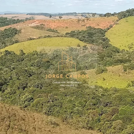 Imagem FA-24163 - FAZENDA À VENDA EM MINDURI/MG