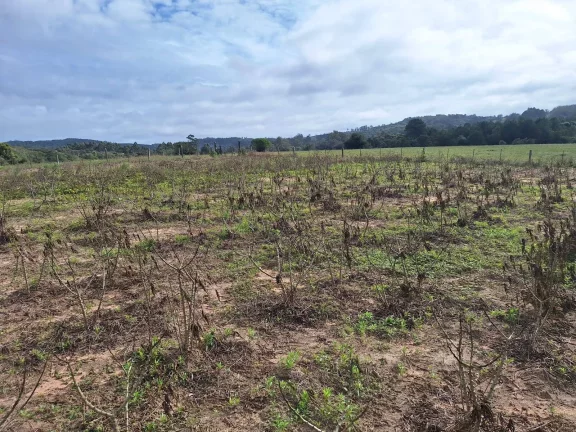 Imagem Sítio à venda, com 1 hectare, açude, no Passo da Areia - Viamão/RS
