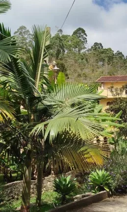 Sítio para Venda em Nova Friburgo, Amparo, 2 dormitórios, 1 suíte, 3 banheiros, 5 vagas