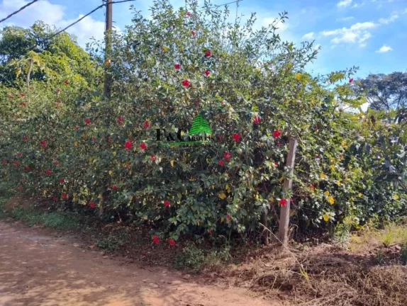 Imagem Terreno em Condomínio para Venda em Americana, Parque São Jerônimo