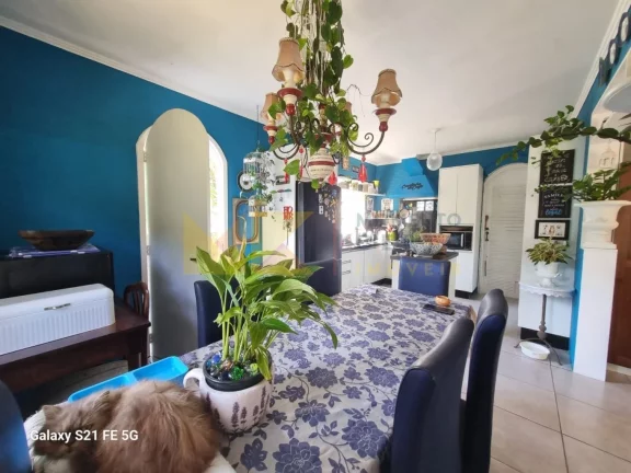 Imagem Casa com 5 Quartos à Venda, 400 m² em Ribeirão Fresco - Blumenau