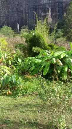 Imagem Vendo esta linda chácara em Nova Friburgo com 15.000m2.