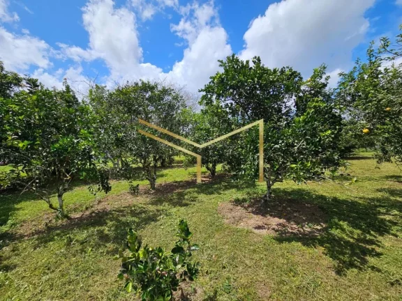 Imagem Sítio ideal para quem quer investir ou desfrutar de um lugar em contato com a natureza!
