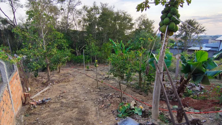 Imagem Imóvel para Venda em Araçoiaba da Serra-SP: Casa com 3 Quartos, 2 Salas, 1 Banheiro, 3 Vagas de Garagem, 1.080,00m² de Área no Bairro Cercado.