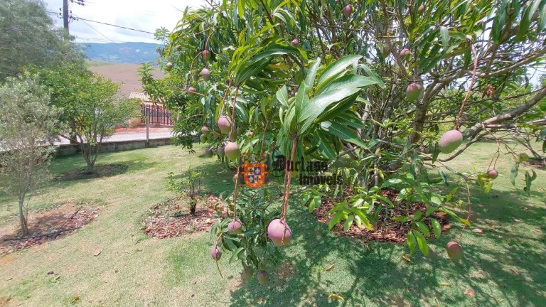 Imagem Chácara com 4 dormitórios à venda, 1851 m² por R$ 950.000,00 - Godoi - Extrema/MG