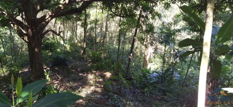 Imagem Terreno com 30.958m2, à venda em Buenos Aires - Guarapari/ES