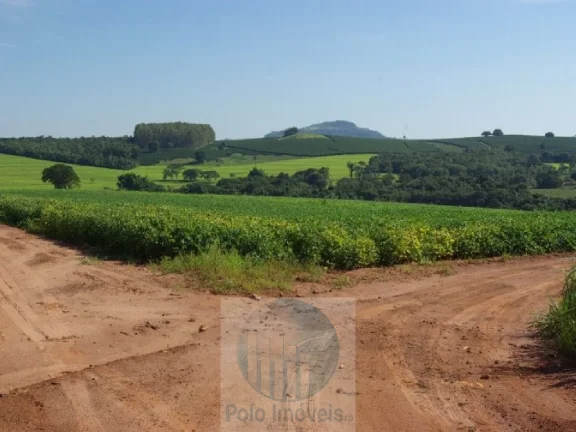 Fazenda a venda com 263,78 HA, Possui plantação de soja e Rio, analisa Proposta, 95 km de Ribeirão Preto - SP.