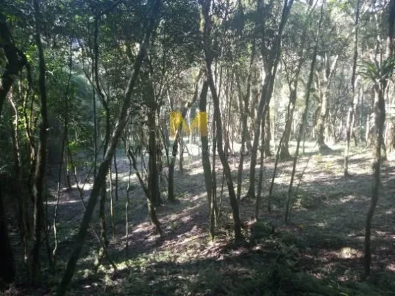 Imagem Chácara, 7000m2, à venda no Recreio da Serra em Piraquara!!!