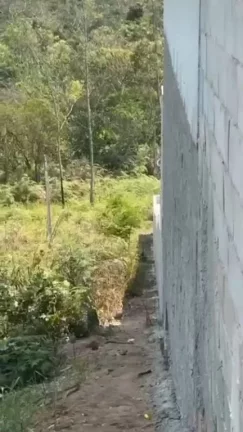 Imagem Terreno à venda, 250 m² por R$ 150.000,00 - Vila São Paulo - Mogi das Cruzes/SP