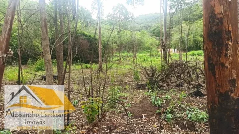 Imagem Vendo terreno rural com 18 mil mts² em Campo do Coelho