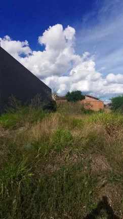 Imagem Terreno Padrão