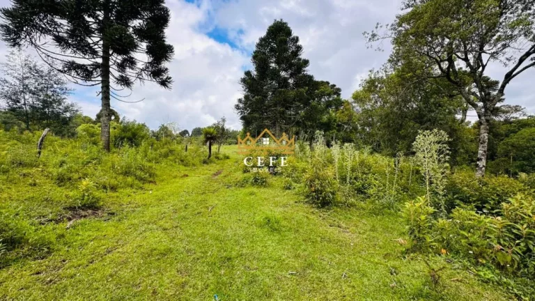 Imagem Chácara - Sítio com 1 Dormitorio(s) localizado(a) no bairro Serra Grande em Três Coroas / RIO GRANDE DO SUL Ref.:1602
