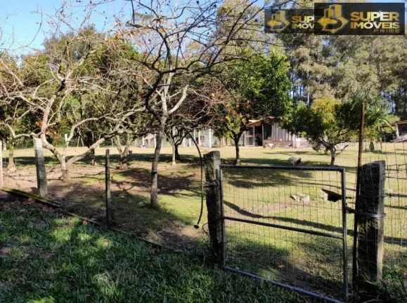 Imagem Sítio para Venda em Centro Capão do Leão-RS - 2664