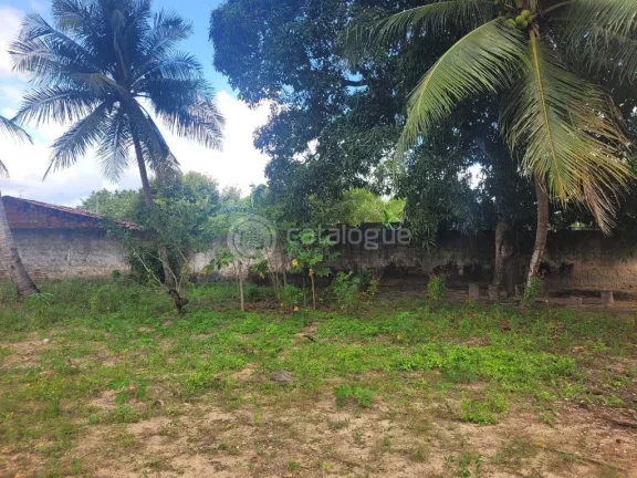 Imagem Chácara à Venda em São José de Mipibu