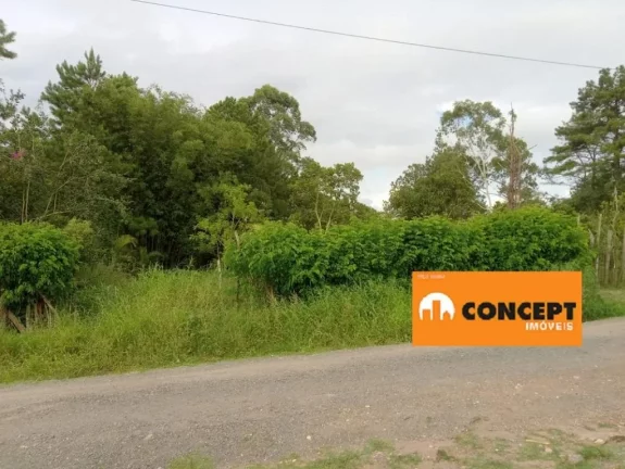 Imagem Área à venda, 1350 m² por R$ 350.000,00 - Chácaras Ceres - Suzano/SP