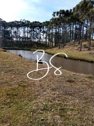 Imagem AREA RURAL em CANELA - RS, São Lucas