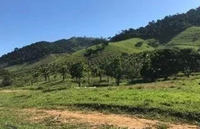 Imagem SITIO RURAL em GUARAPARI - ES, COMUNIDADE URBANA DE JABOTI