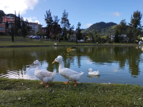 Imagem Terreno em Condomínio para Venda em Teresópolis / RJ no bairro Vargem Grande