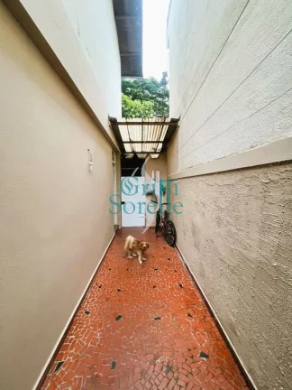 Imagem Casa/Sobrado à Venda em Jardim Caravelas - São Paulo/SP.