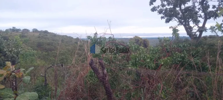 Imagem Chácara para Venda em Brasília, Setor Habitacional Tororó (Jardim Botânico), 1 dormitório, 1 banheiro, 2 vagas