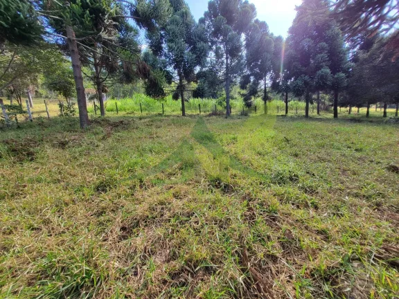 Imagem Sítio à beira da represa em Piracaia: Um refúgio de tranquilidade e beleza