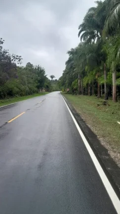 Imagem Sítio para Venda em Sete Barras, Rural