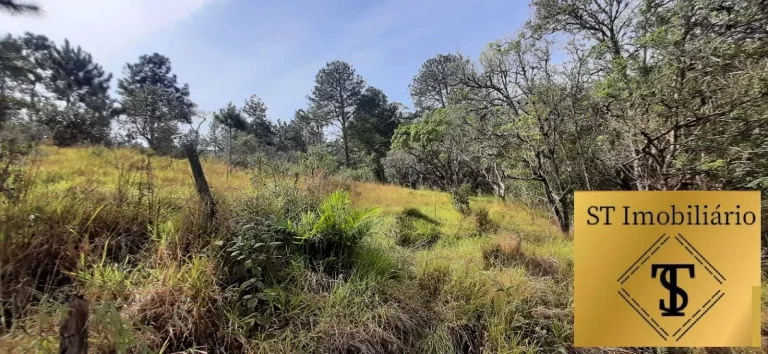 Imagem Sítio Atibaia Com 72.000 m² Bem Localizado