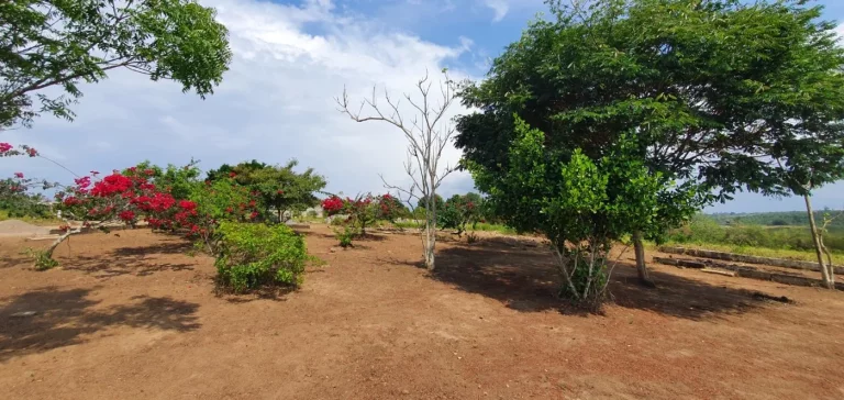 Imagem Terreno para Venda em Sapeaçu, SAPEAÇU