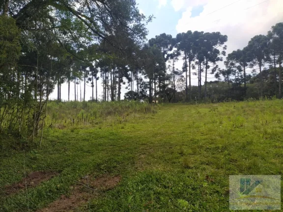 Imagem Terreno para Venda em São José dos Pinhais, Contenda, 1 dormitório