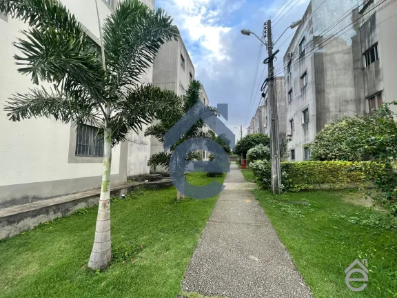 Imagem Apartamento à venda no Pq Jd Petróplis I, 2/4, sala, wc social, em ótimo local