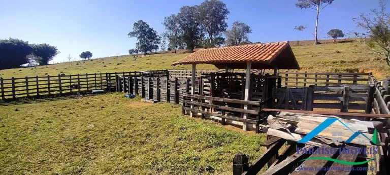 Imagem Fazendinha Completa à Venda em Paraisópolis: 56,9 hectares