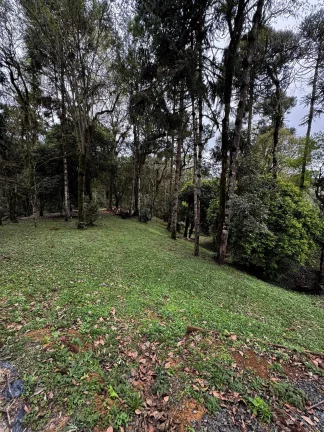 Imagem Chácara com 15.000 m² em Salto do Engenho | Campo Alegre/SC