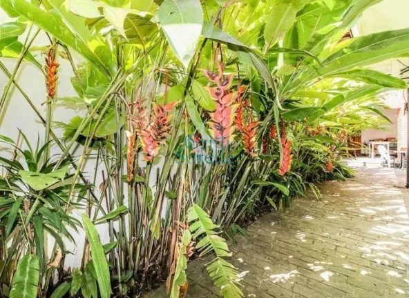 Imagem Casa Térrea à Venda em Jardim das Bandeiras - São Paulo/SP.