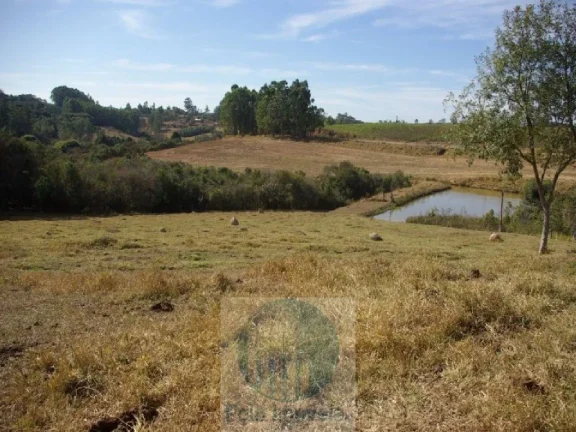 Imagem SÍTIO A VENDA 66,5 HECTARES para GRÃOS E GADO, JACUÍ MG