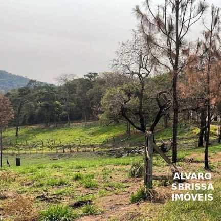 Imagem Sitio com 14,1482 Ha na rodovia Castelo branco em itu/SP