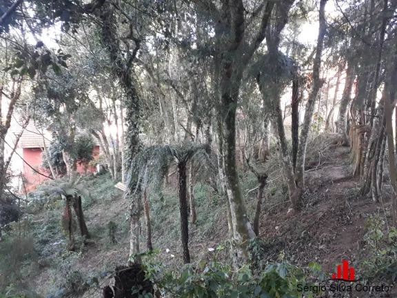 Imagem Terreno a Venda no Bairro Nova Suíça em Campos do Jordão - SP