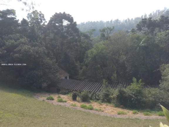 Imagem Sítio / Chácara para Venda em Campo Limpo Paulista / SP no bairro Chácara São João