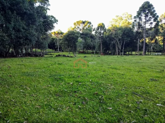 Imagem CHACARA RURAL em CAMPO BELO DO SUL - SC, Interior