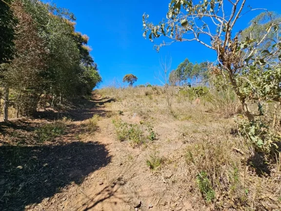 Imagem Chácara à Venda