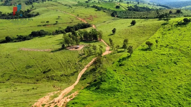 Imagem Fazenda região de Itapira SP