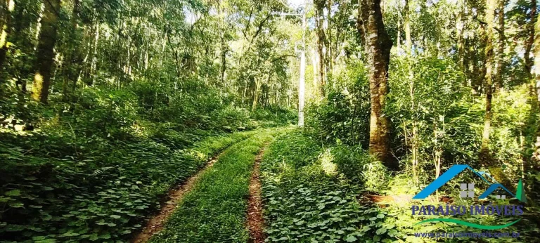 Imagem Terreno Exuberante no Bairro Campestre, Gonçalves – Serra da Mantiqueira