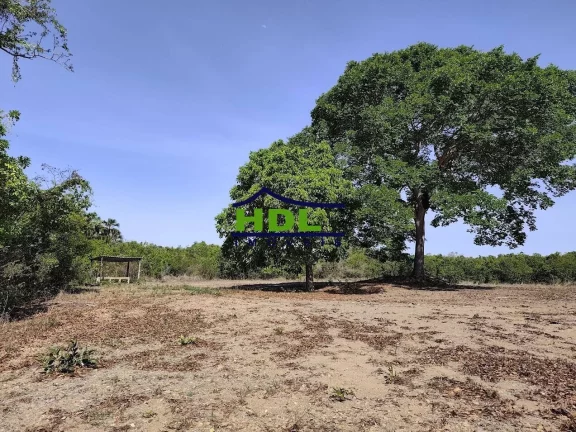 Imagem Fazenda 17,7 ou 10 Alqs Dupla Aptidão em PIracanjuba/GO