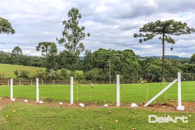 Imagem Sitio maravilhoso com 10,51 hectares - a 200m do Mercado 4 irmãos - Fazendinha - c/ Escritura e Registro - Rio Negro.