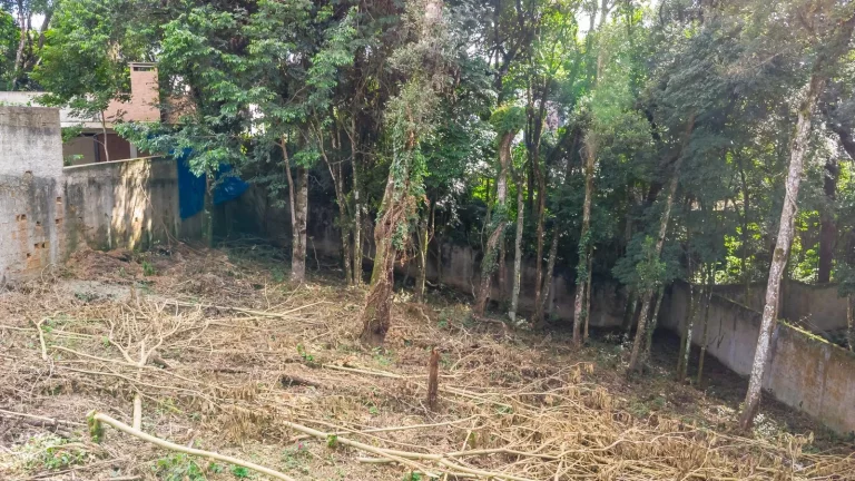 Terreno Campo Comprido