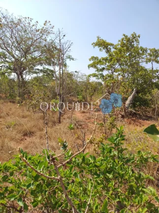 Imagem Fazenda à venda na Área Rural de Rio Verde-GO