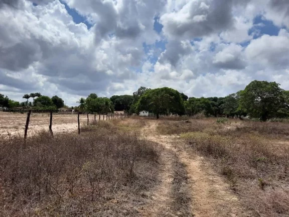 Imagem Granja para Venda em Macaíba, Centro, 2 dormitórios, 3 banheiros, 9 vagas