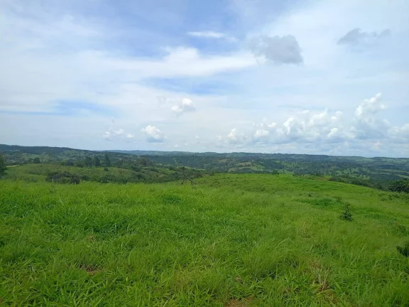 Imagem FAZENDA EM EM ABADIÂNIA DE GOIÁS