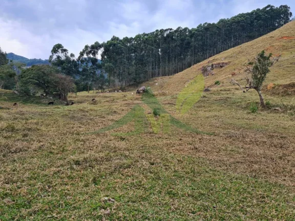Imagem Lindo sítio à Venda em Piracaia